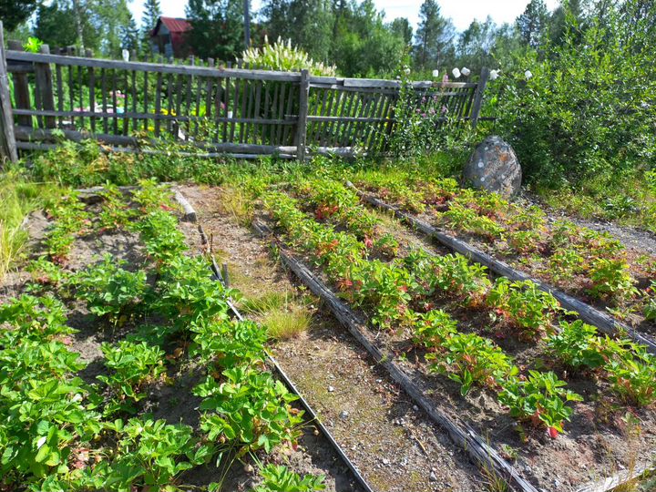 Дом 15 м² на участке 6 сот.