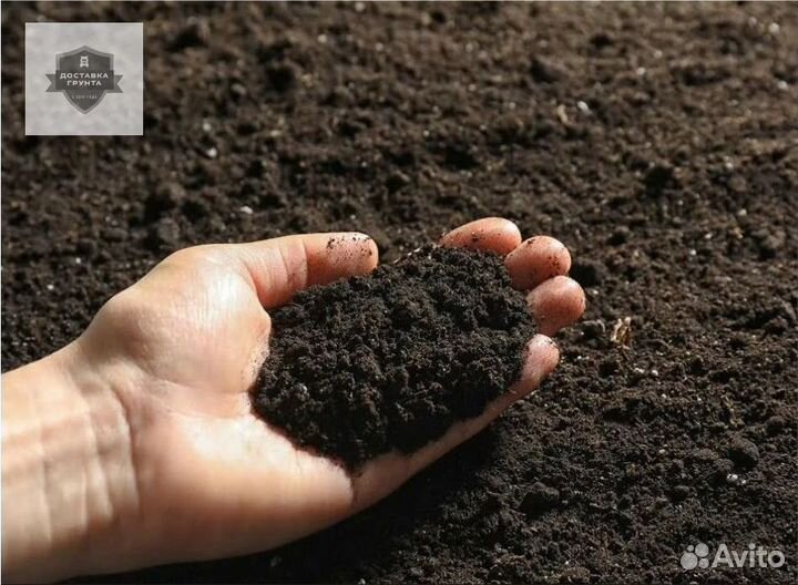 Перегной чернозем грунт