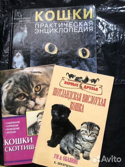 Книги про кошек