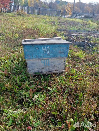 Ульи для пчел