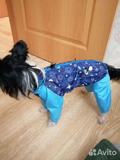 Комбинезоны для собак