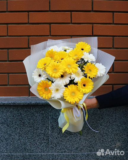 Монобукет из гермини