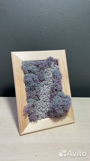 Картины со стабилизированным мхом