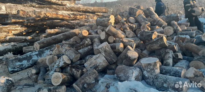 Дрова летней заготовки