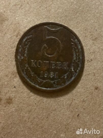 Монета СССР 5 копеек 1981 год