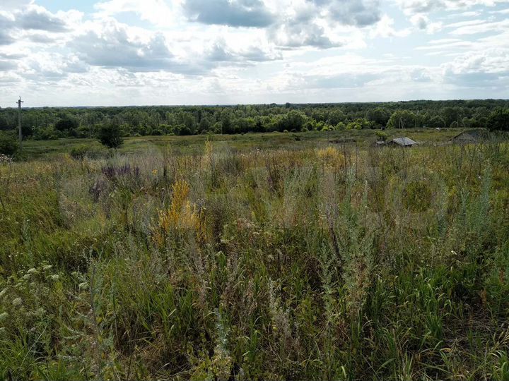 Участок 10 сот. (ИЖС)