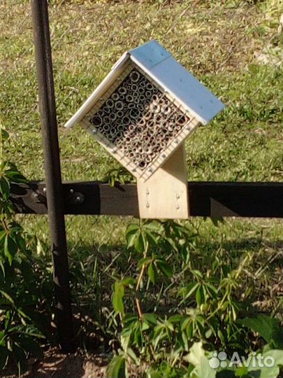 Домик для насекомых и разведение божьих каровок