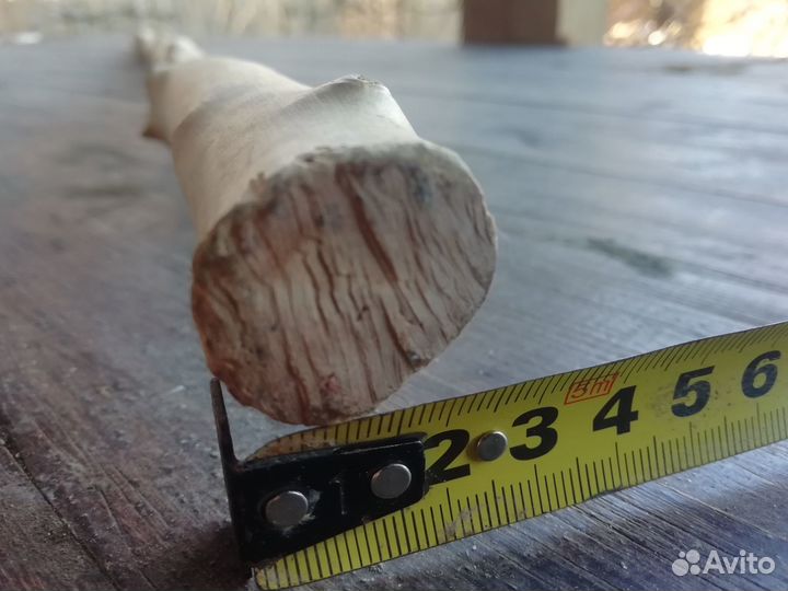 Самшит 120см прямой