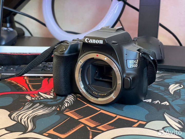Canon EOS 250d + топовые объективы