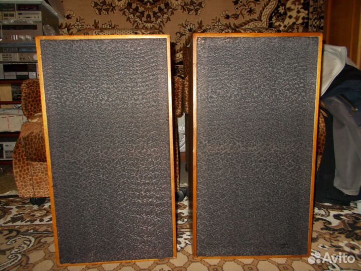 Акустика высшего класса Электроника Б1-01