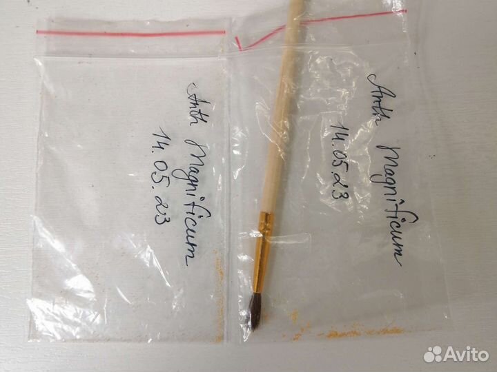 Пыльца (Антуриум Магнификум)