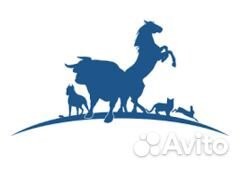 Водитель категории вс