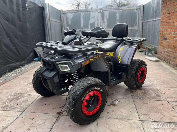 Квадроцикл Motoland wild track X 200