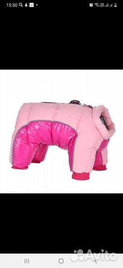 Одежда для средних собак. Комбинезоны. Куртки