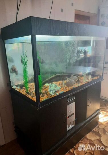 Аквариум с тумбой 500 литров