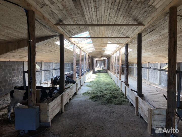 Продам ферму