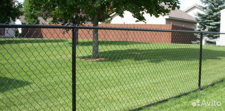 Cетка pабица