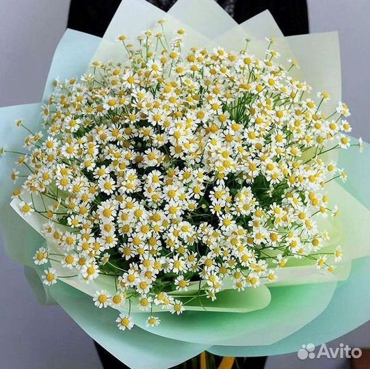 Ромашки букет