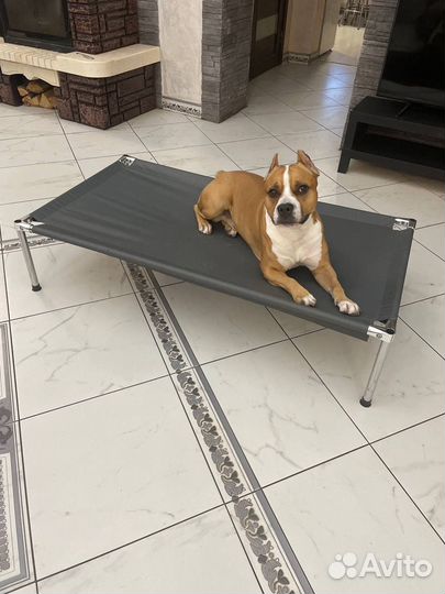 Лежанка для собак