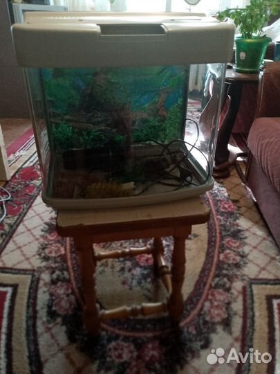 Аквариум