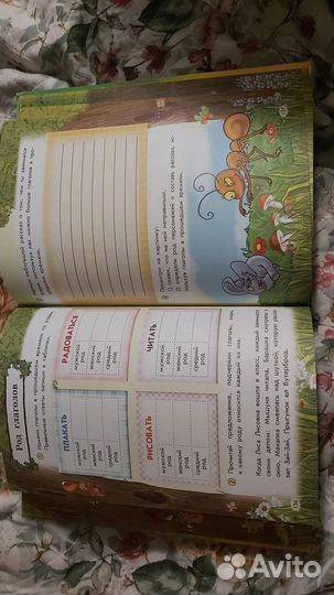 Все правила русского языка для детей. Книга детям