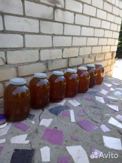 Мед со своей пасеки