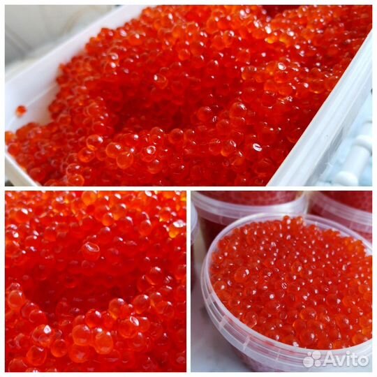 Красная икра 2023