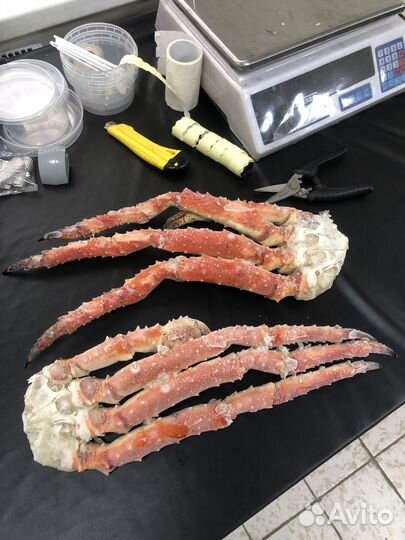 Камчатский краб 1 кг