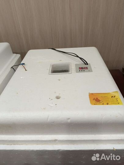 Инкубатор для яиц