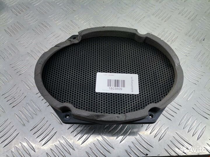 Динамик Ford Focus 1