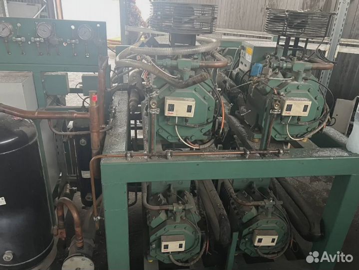 Промышленная холодильная камера