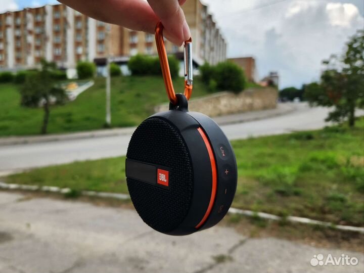 Колонка портативная JBL Wind 2