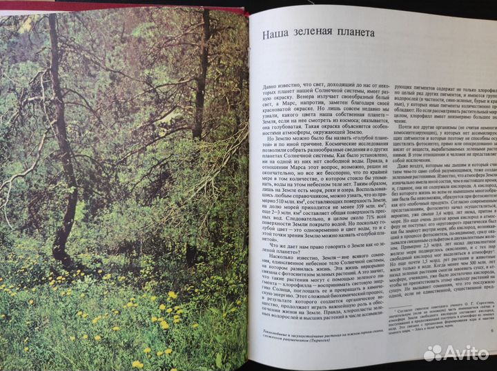 Книги о растениях
