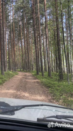 Рыбалка в Карелии