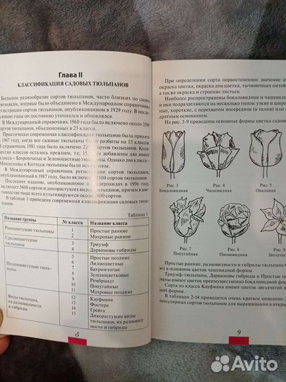 Книга тюльпаны практическое руководство