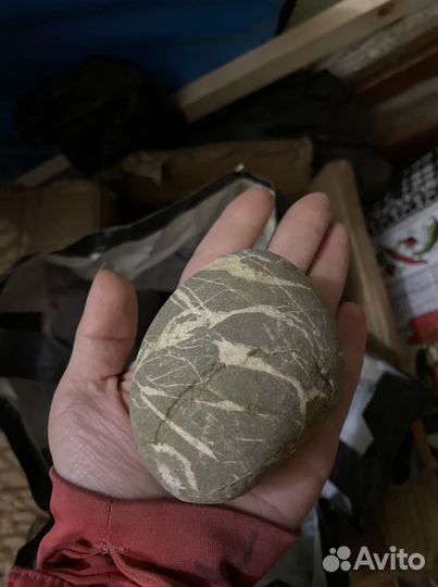 Камни с побережья черного моря