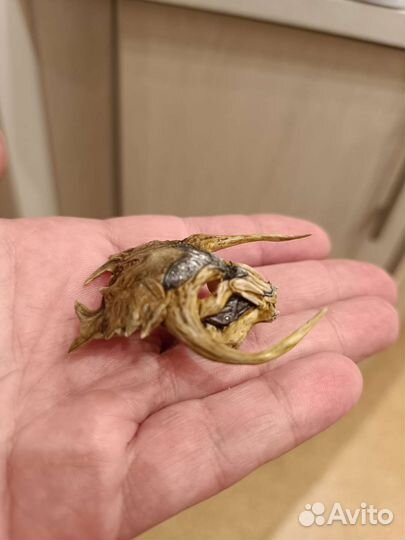 Маска Хищника 