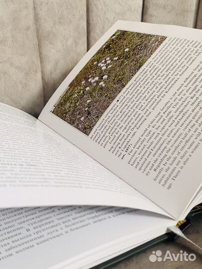 Редкая книга