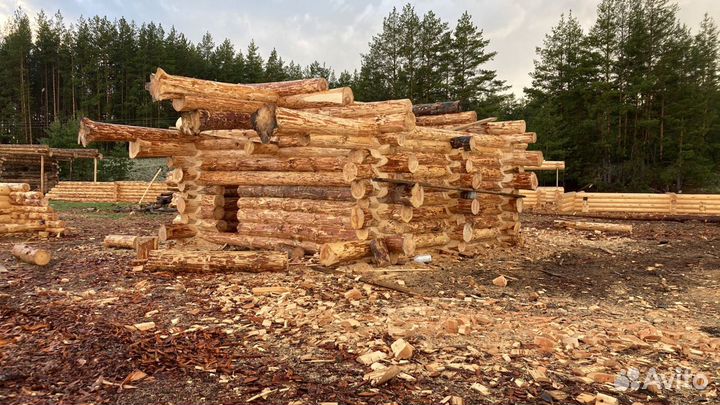 Срубы строительство