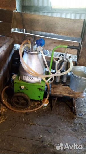 Доильный аппарат для коров бу