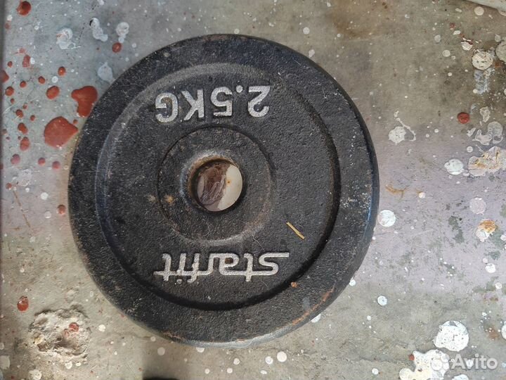 Гриф с блиннами