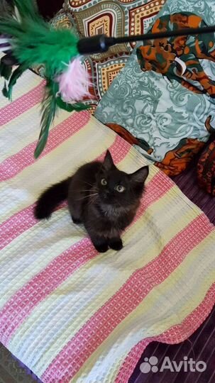 Малыши-крутыши