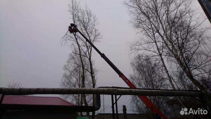 Спил деревьев, расчистка участка, обрезка веток