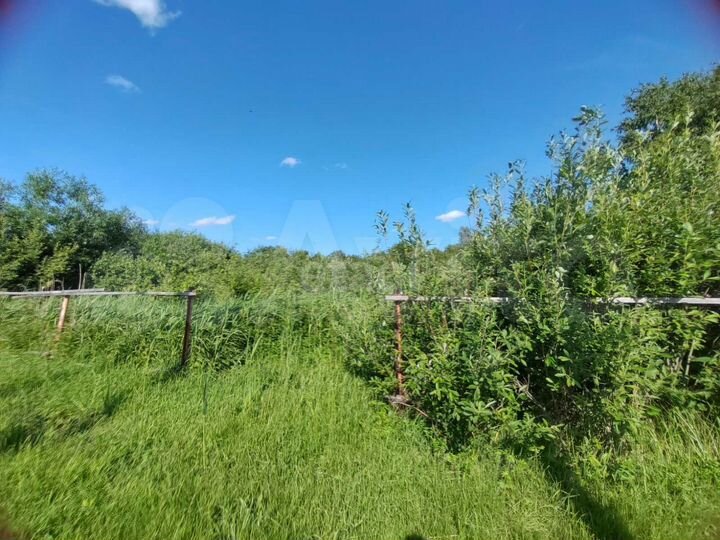 Участок 5,5 сот. (СНТ, ДНП)