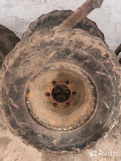 Шины ободрыши