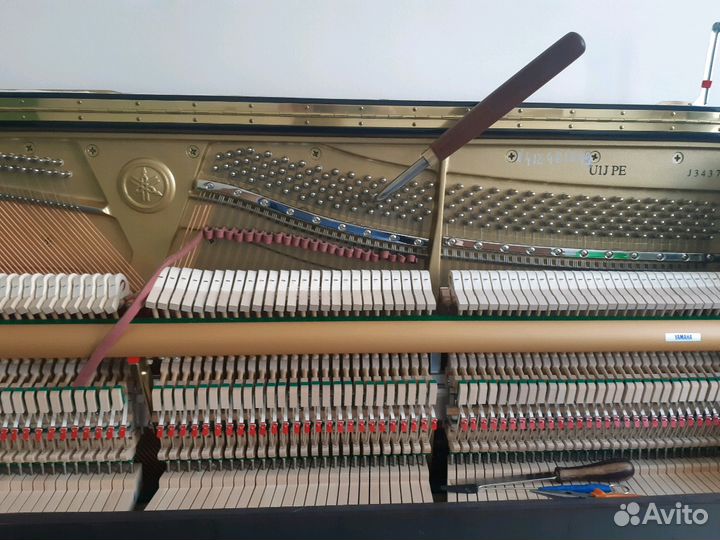 Профессиональная настройка пианино и роялей