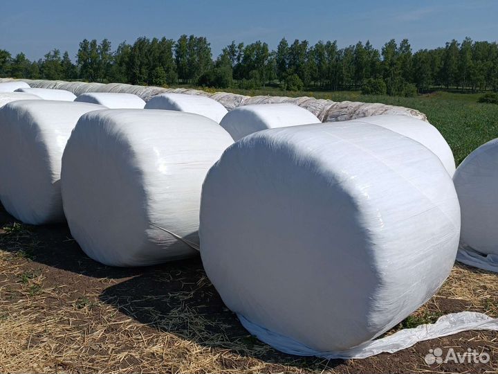 Сенаж в рулонах, урожай 2024