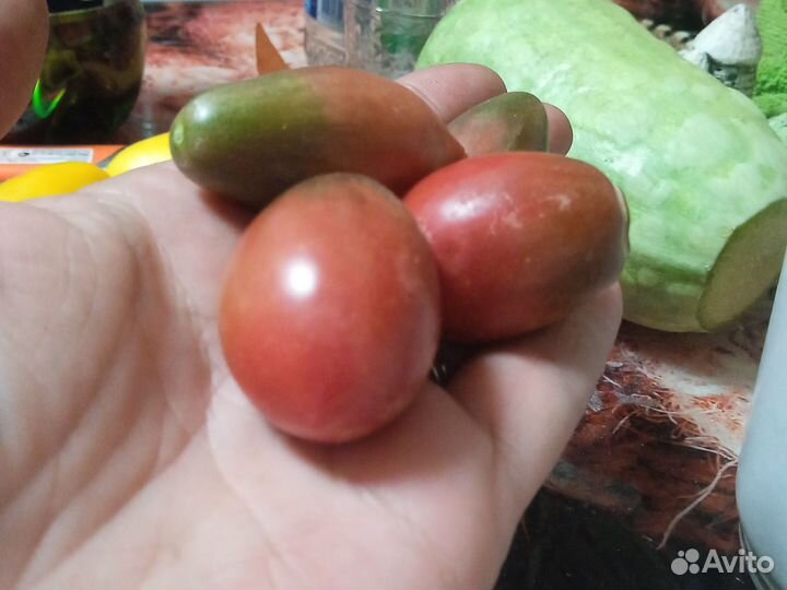 Помидоров семена