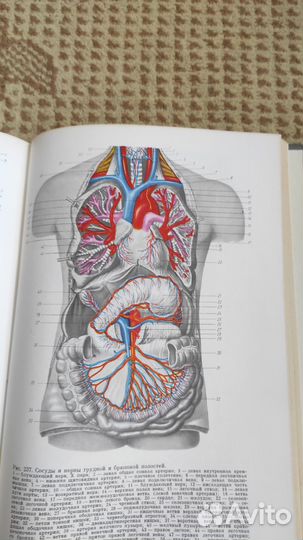 Анатомия (с основами гистологии и эмбриологии)