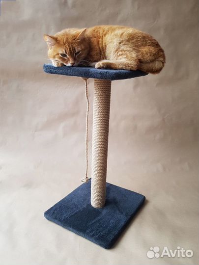 Когтеточка